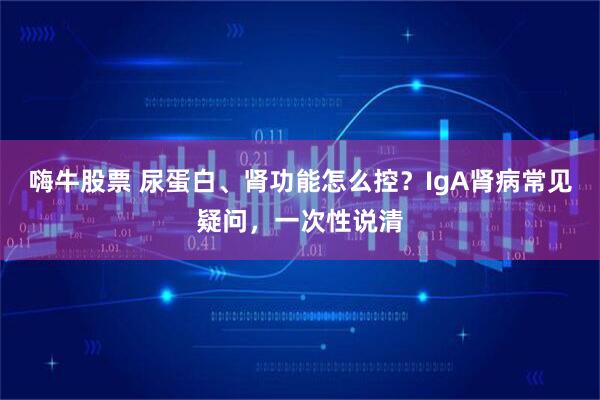 嗨牛股票 尿蛋白、肾功能怎么控？IgA肾病常见疑问，一次性说清