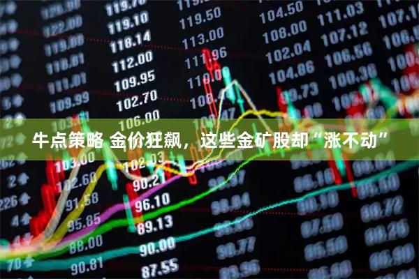 牛点策略 金价狂飙，这些金矿股却“涨不动”