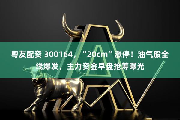 粤友配资 300164，“20cm”涨停！油气股全线爆发，主力资金早盘抢筹曝光