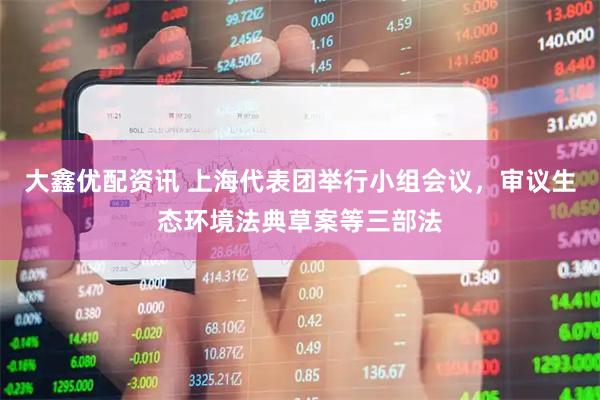 大鑫优配资讯 上海代表团举行小组会议，审议生态环境法典草案等三部法