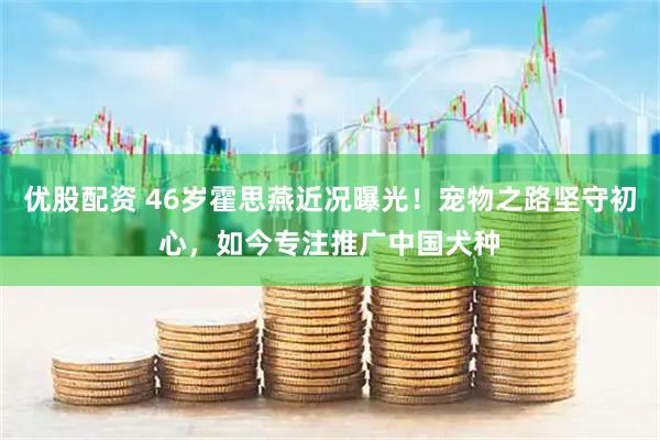 优股配资 46岁霍思燕近况曝光！宠物之路坚守初心，如今专注推广中国犬种