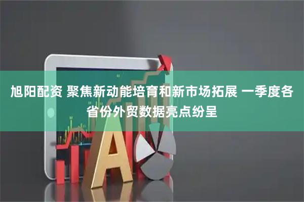 旭阳配资 聚焦新动能培育和新市场拓展 一季度各省份外贸数据亮点纷呈