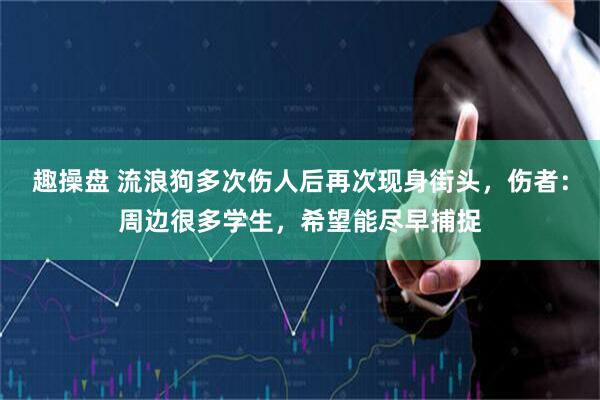 趣操盘 流浪狗多次伤人后再次现身街头，伤者：周边很多学生，希望能尽早捕捉