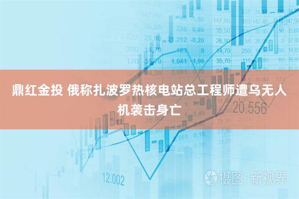 鼎红金投 俄称扎波罗热核电站总工程师遭乌无人机袭击身亡