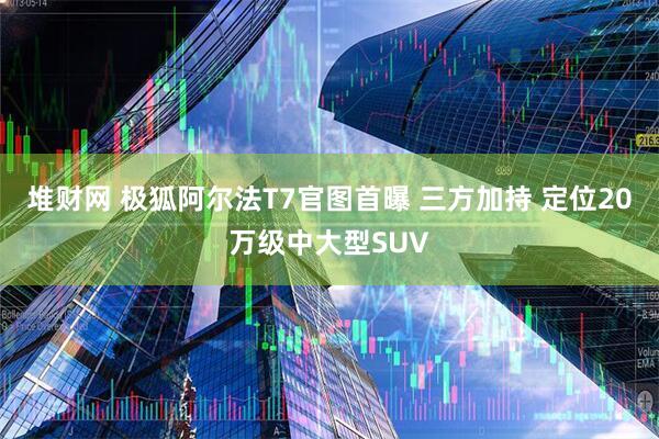 堆财网 极狐阿尔法T7官图首曝 三方加持 定位20万级中大型SUV