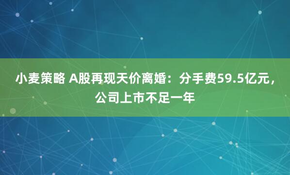 小麦策略 A股再现天价离婚:分手费59.5亿元,公司上市不足一年