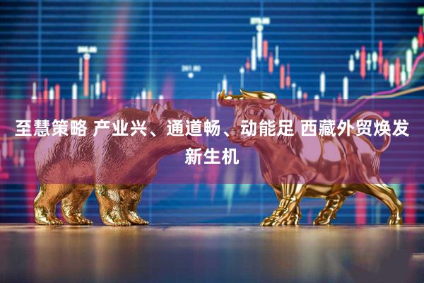至慧策略 产业兴、通道畅、动能足 西藏外贸焕发新生机