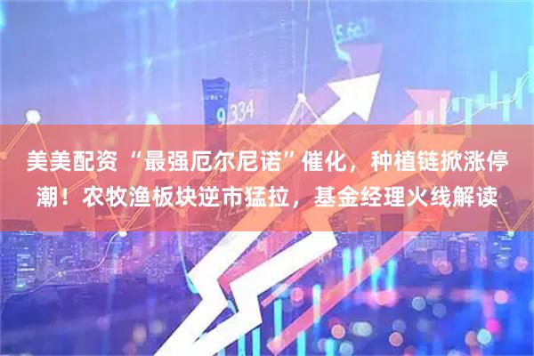 美美配资 “最强厄尔尼诺”催化,种植链掀涨停潮!农牧渔板块逆市猛拉,基金经理火线解读
